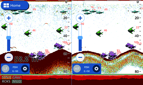 ACCU-FISH_BOTTOM Furuno