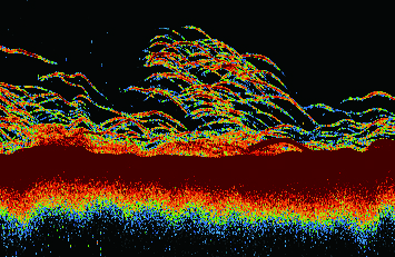 CHIRP Furuno GP-1971_1981F