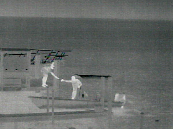 Тепловизоры FLIR