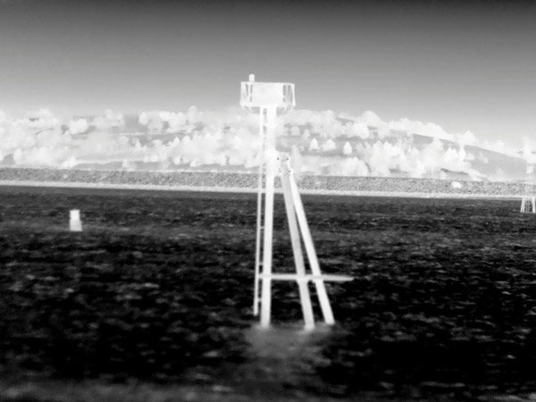 Тепловизоры FLIR