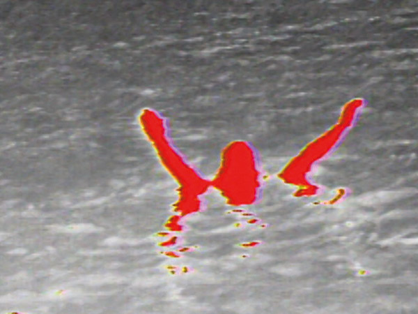 Тепловизоры FLIR