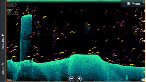 Lowrance HDS LIVE FishReveal