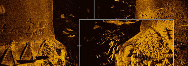 Mega Imaging 4 Mega Imaging 4