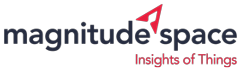 Magnitude Space
