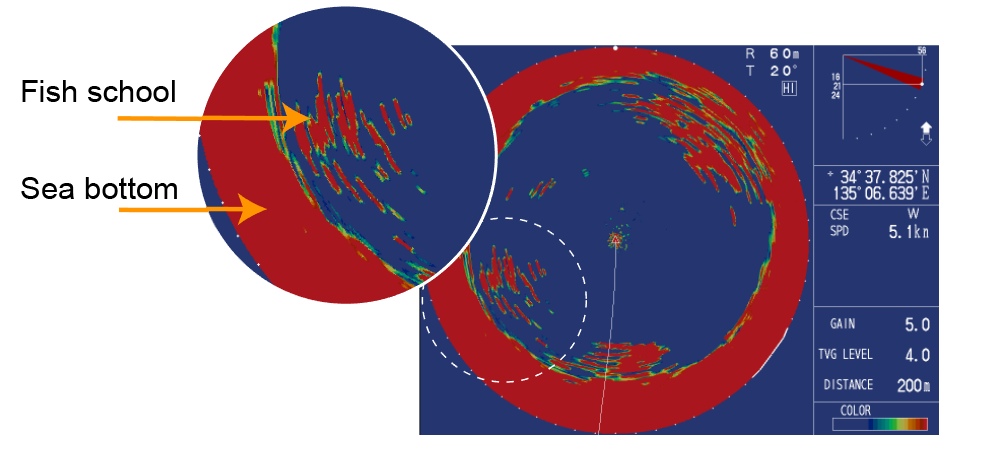 Передовая обработка эхосигналов