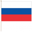 МСС Флаг Российской Федерации