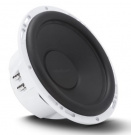 Rockford Fosgate RM110D2