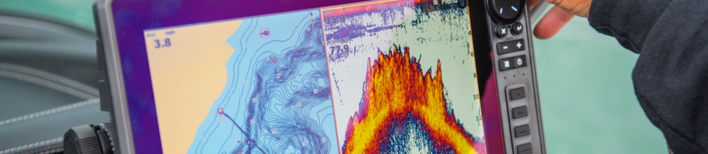 Картография C-Map