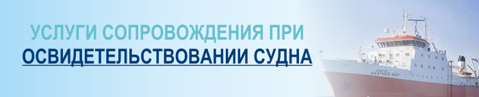 Сопровождение освидетельствования судна