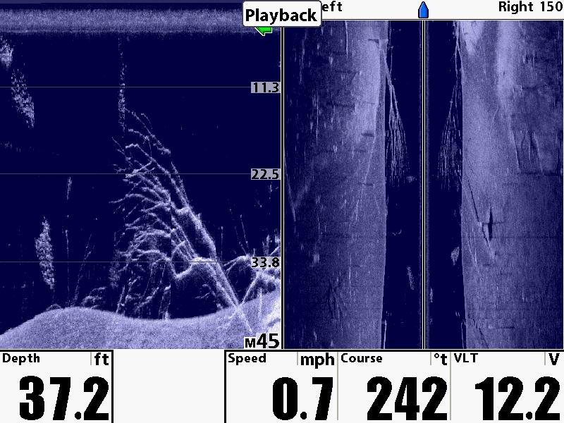 Down imaging. Нижнее сканирование на эхолоте. Humminbird down scan. Рыба в Нижнем сканировании. Рыба в эхолоте в Нижнем сканирование.