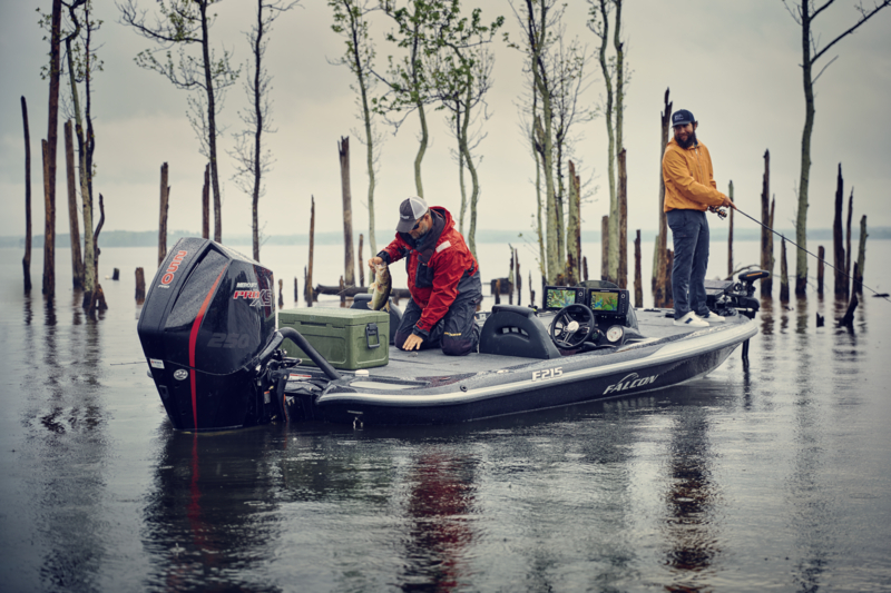 Дометик сегодня