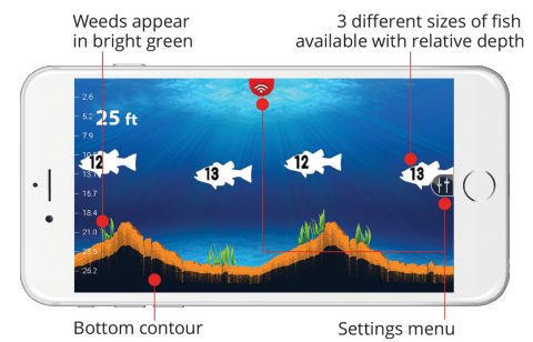 Режим Fish View
