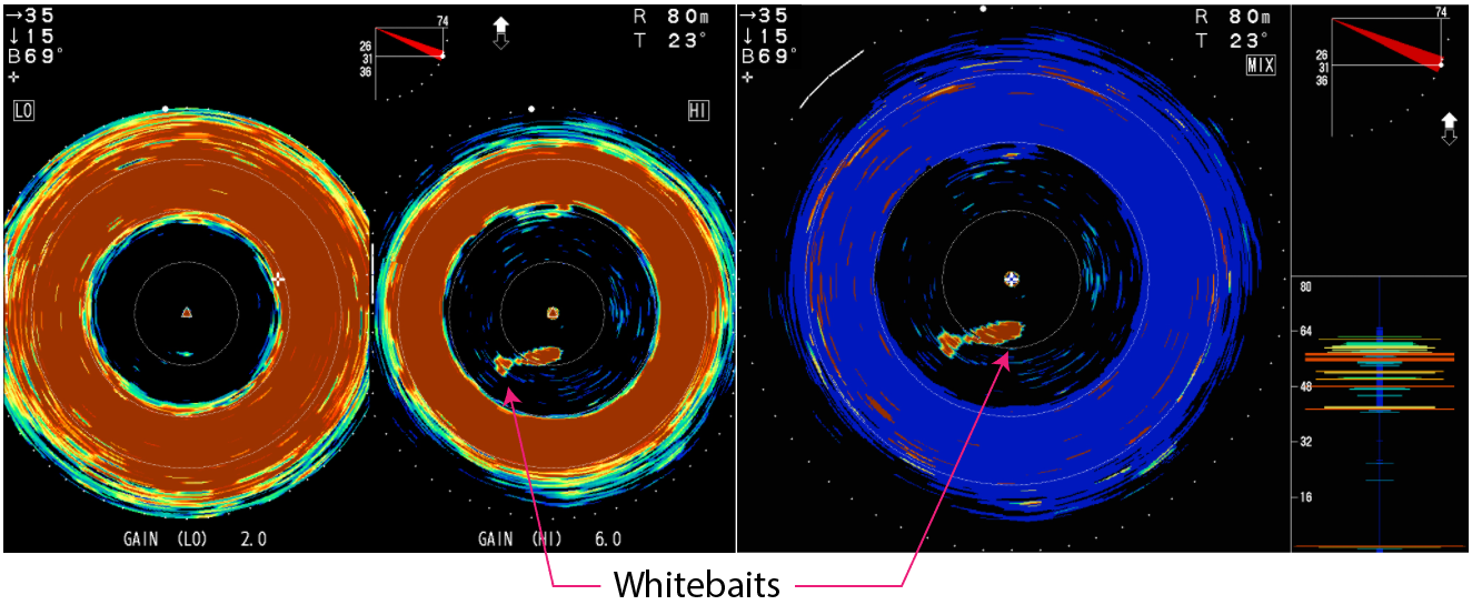 Обнаружение сардин и анчоусов в двухчастотном режиме