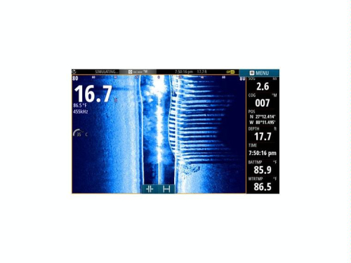 Simrad NSS12 evo2 Combo