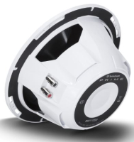 Rockford Fosgate RM110D2