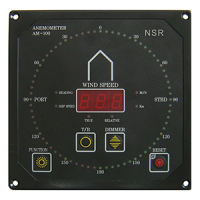 NSR AM-100
