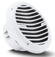 Rockford Fosgate RM110D2