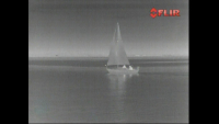 Raymarine T253