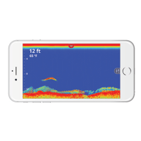 Lowrance Fish Hunter Pro