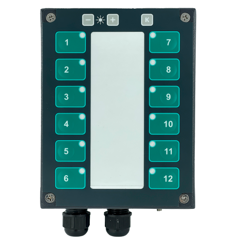 КСОФ | коммутатор | МИРАН | на 12 фонарей