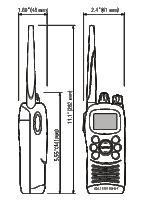Raymarine Ray101E