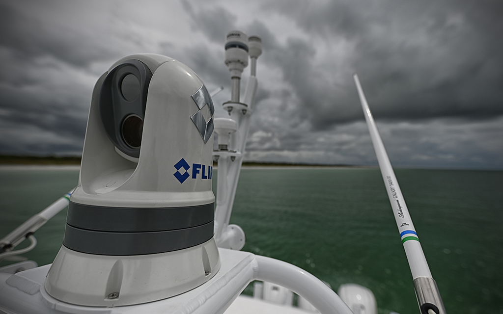 Тепловизионная камера FLIR Тепловизионная камера FLIR