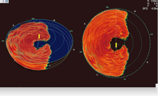 Furuno F3D-S показывает побег рыбного косяка