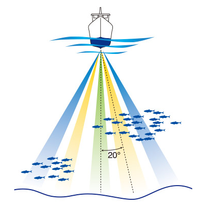 Лучи эхолота Furuno FCV-38