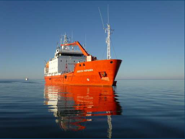 НИС Алексей Марышев