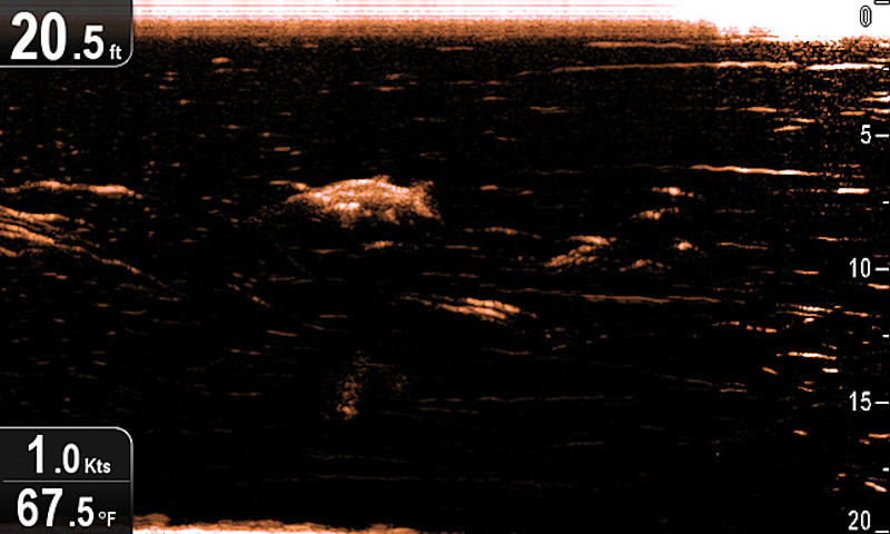 Raymarine DownVision Raymarine DownVision