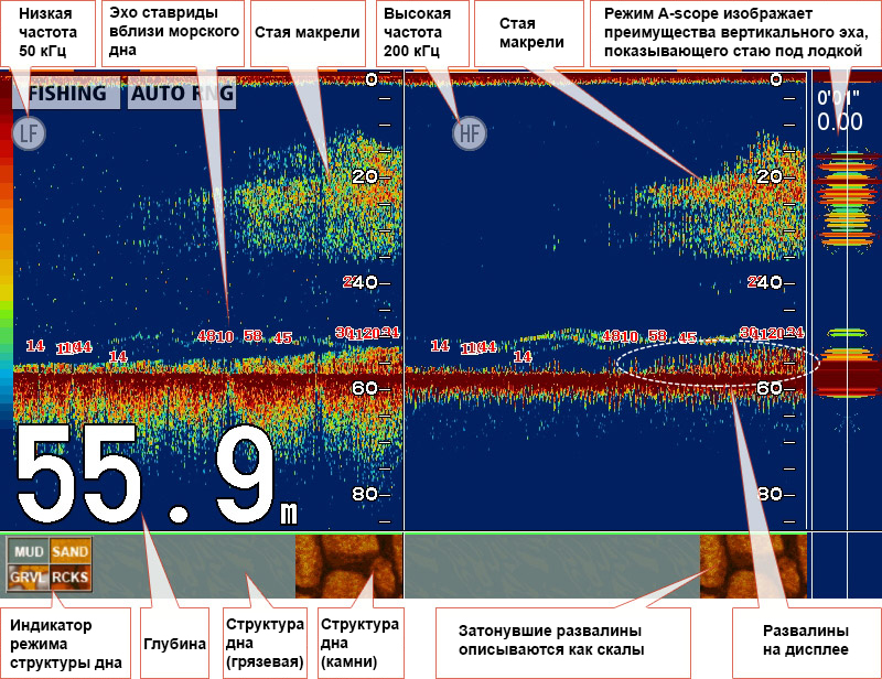 Эхолот Фуруно